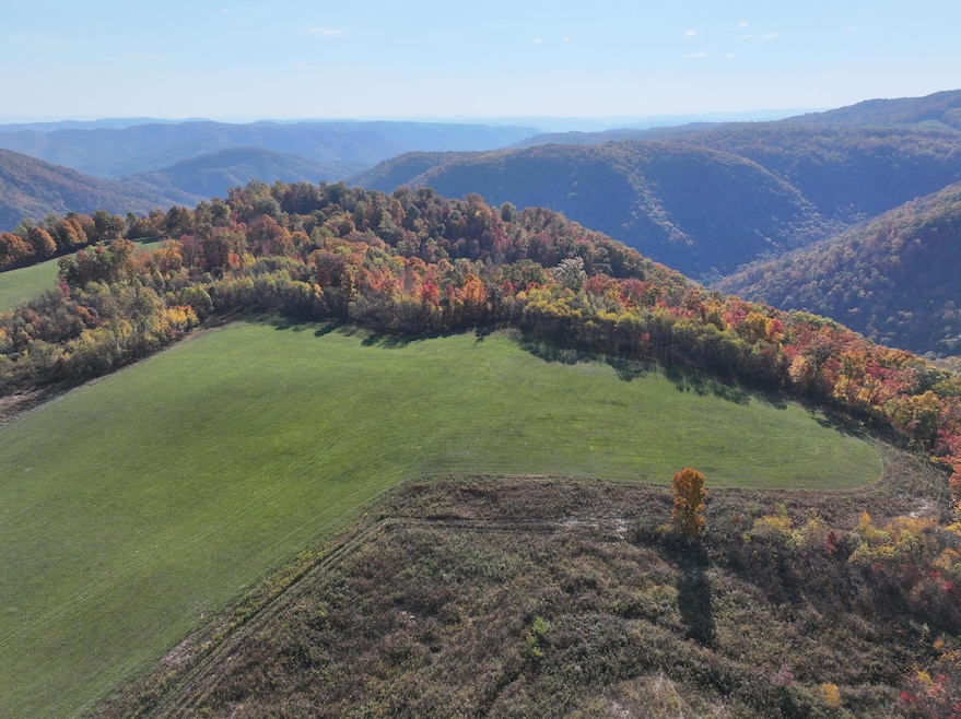 DJI_20241022201429_0013_D