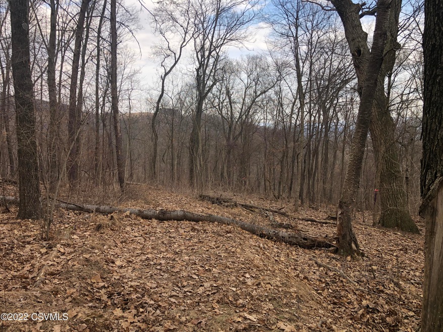 0 Windsong Ln unit 20-90047, Danville, PA 17821 - photo 1