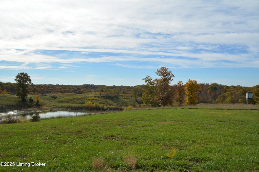 6687 Woods Pike Rd, Pleasureville, KY 40057 - photo 1