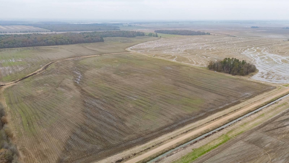 1 Mopac Rd, Brinkley, AR 72021 - photo 1