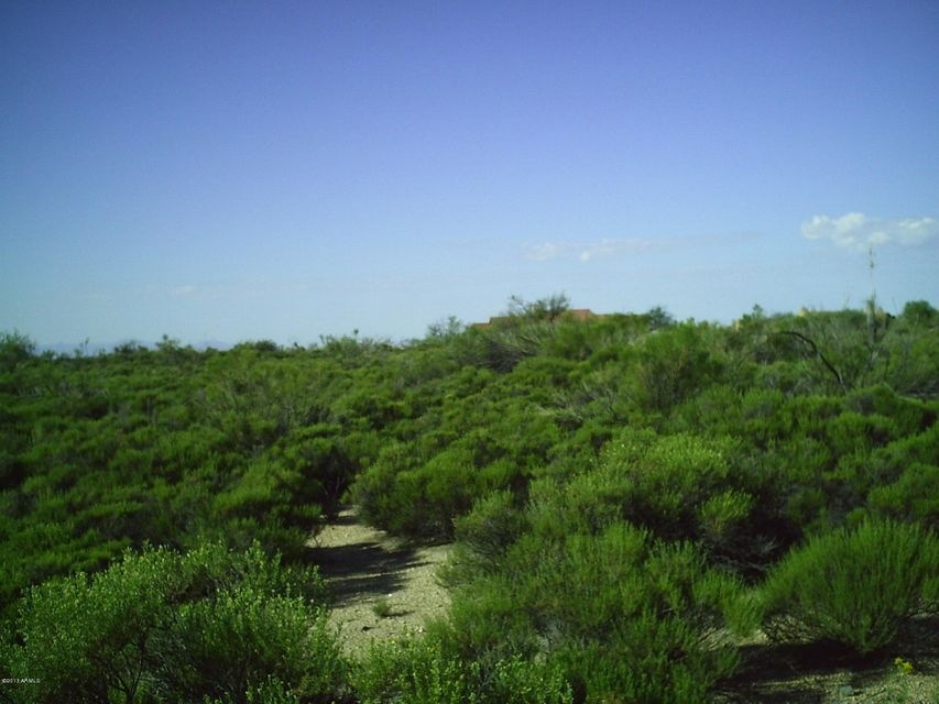 View to the west from Old Mine Road