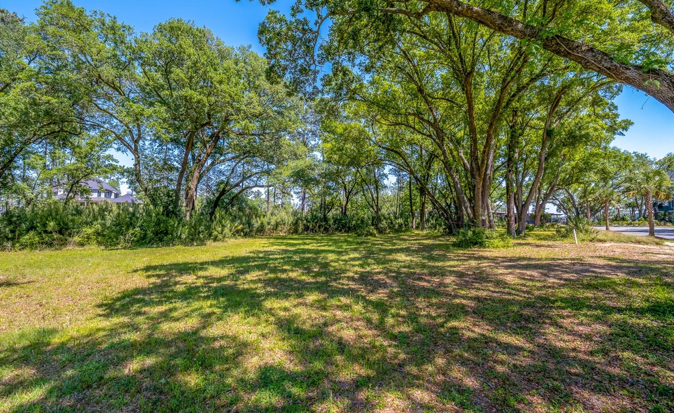 429 Wayfaring Point1