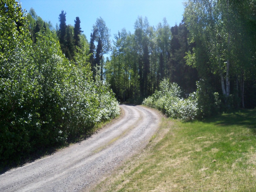 knapp 002