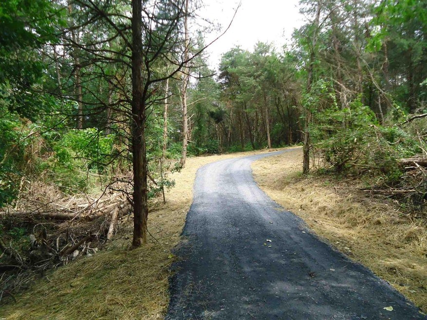 TBD Cline Ln, Verona, VA 24482 - photo 1