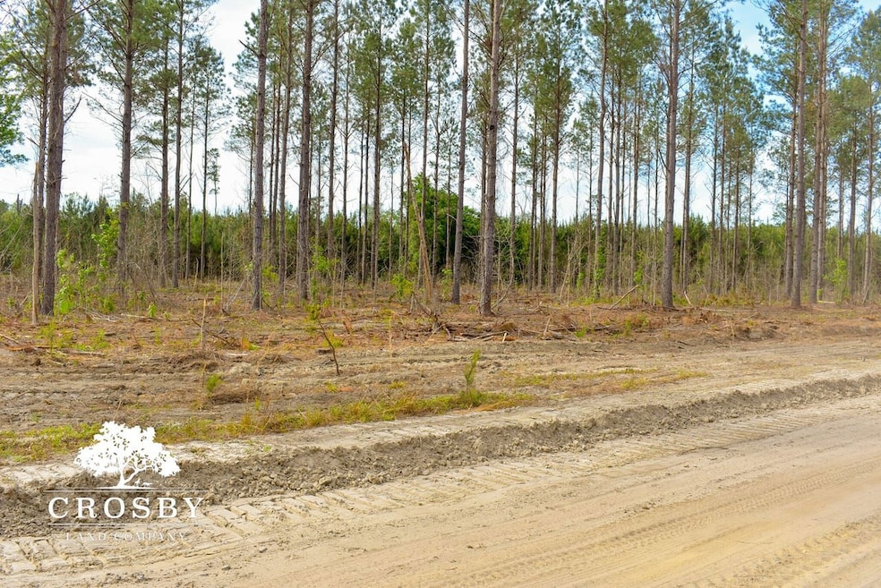 0 Lindsay Rd, Round O, SC 29474 - photo 1