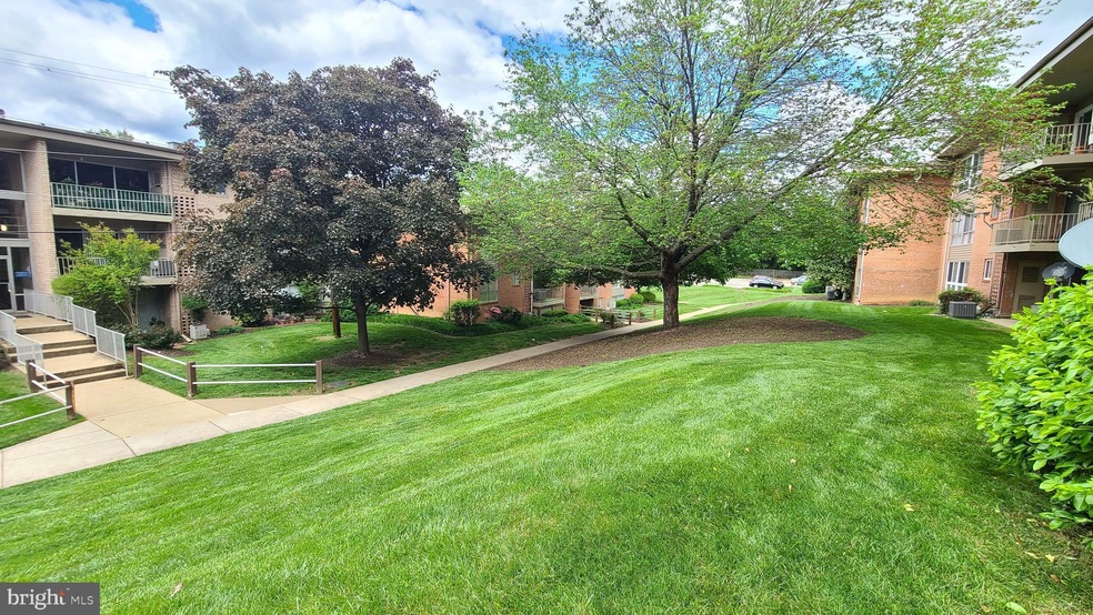 3706 N Rosser St unit T3, Alexandria, VA 22311 - photo 1