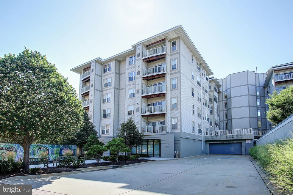 8045 Newell St unit 101, Silver Spring, MD 20910 - photo 1