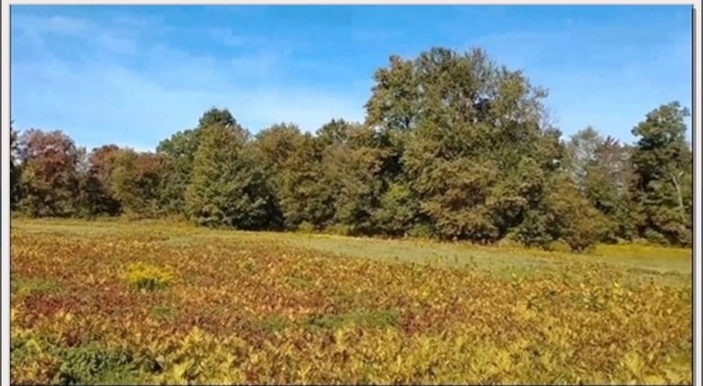 0 Pleasant St, Granby, MA 01033 - photo 1