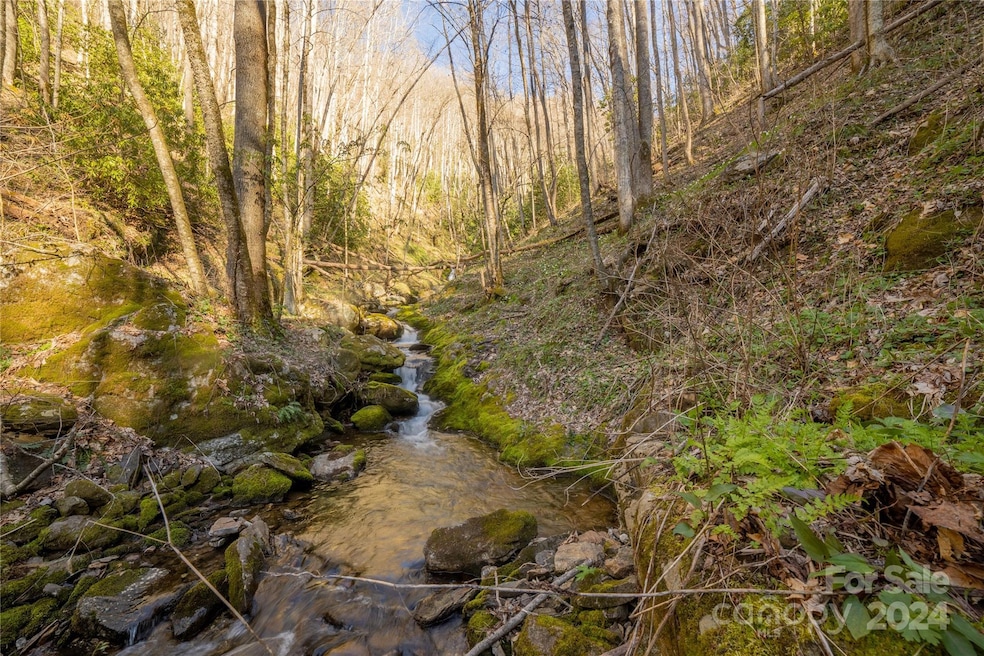 00 Buff Creek Rd, Sylva, NC 28779 - photo 1