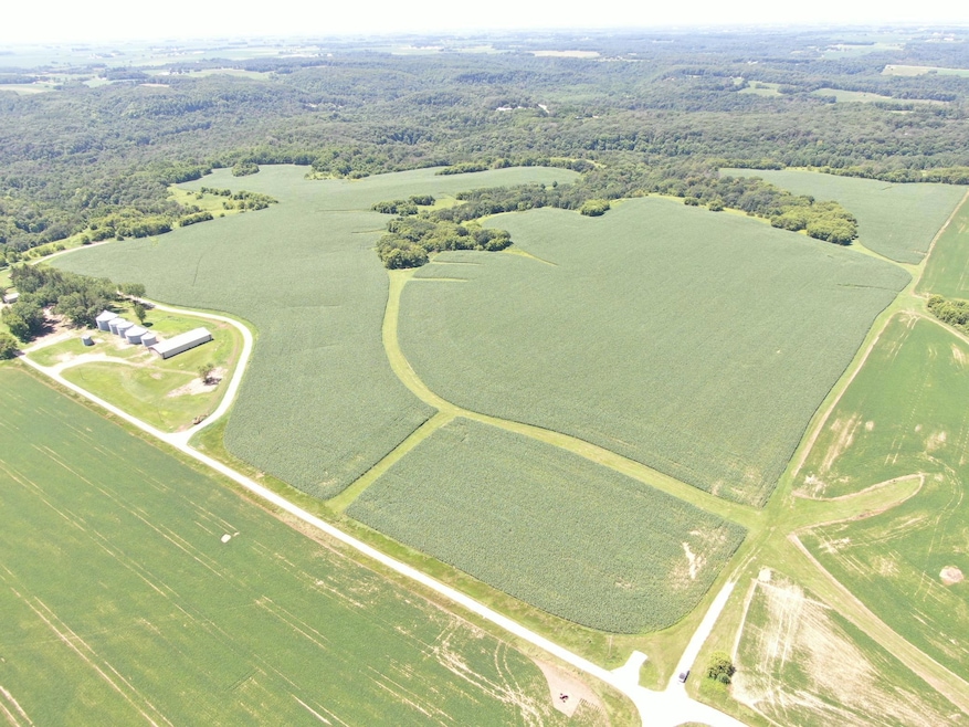 tbd 70th St SE, Viola, MN 55934 - photo 1