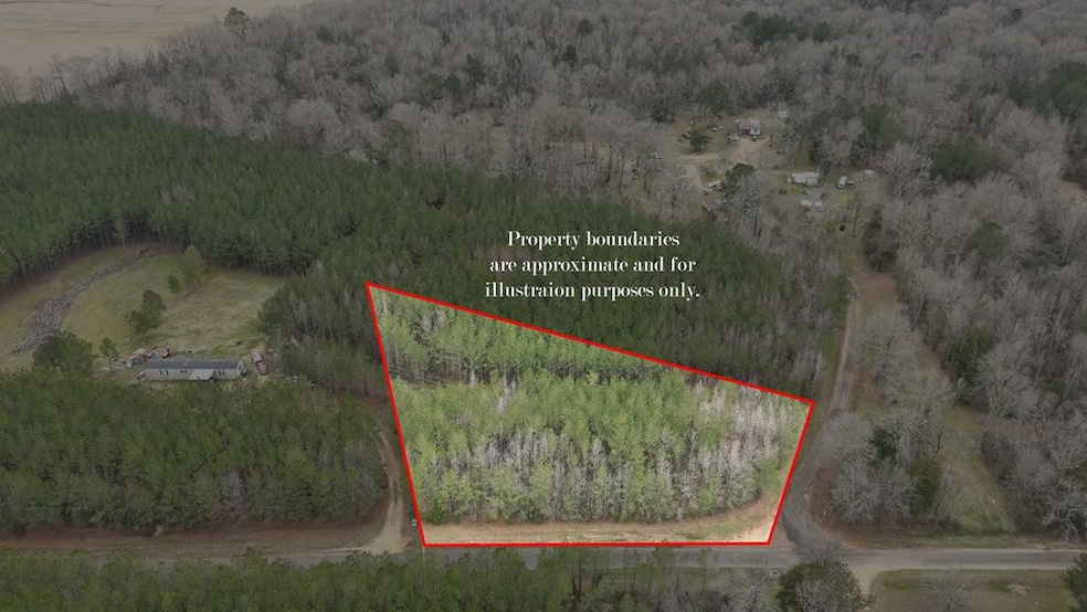 #1 Anderson Rd, Wesson, MS 39191 - photo 1