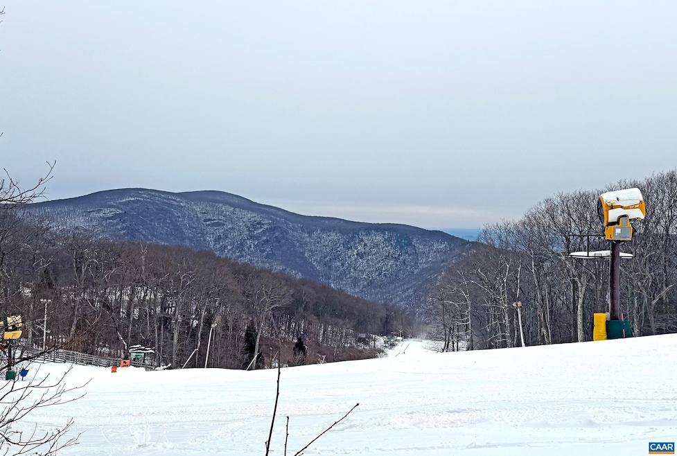 113 Eagles Ct Condos, Wintergreen Resort, VA 22967 - photo 1