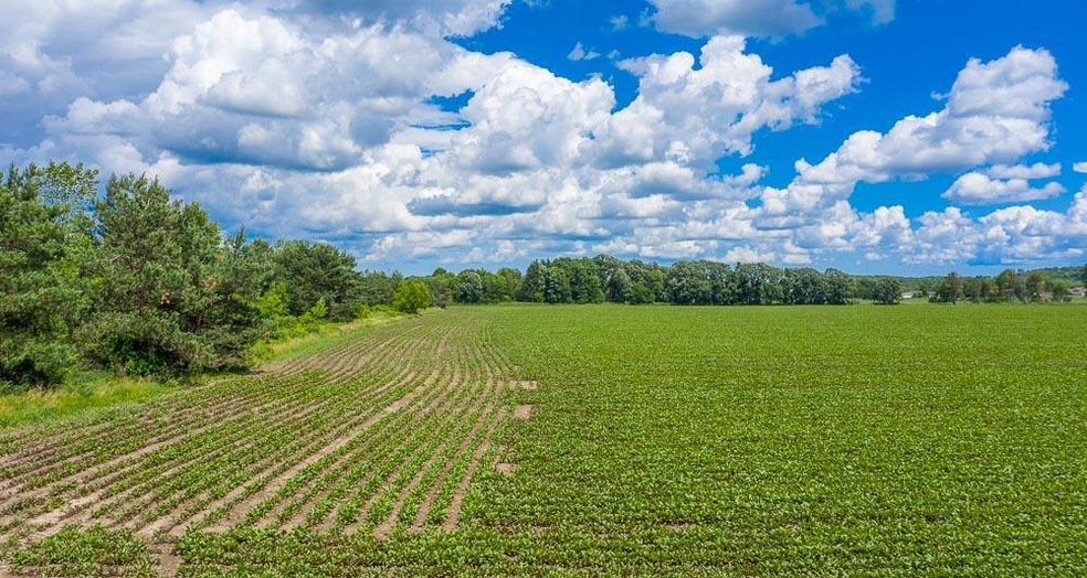 New Photo front view