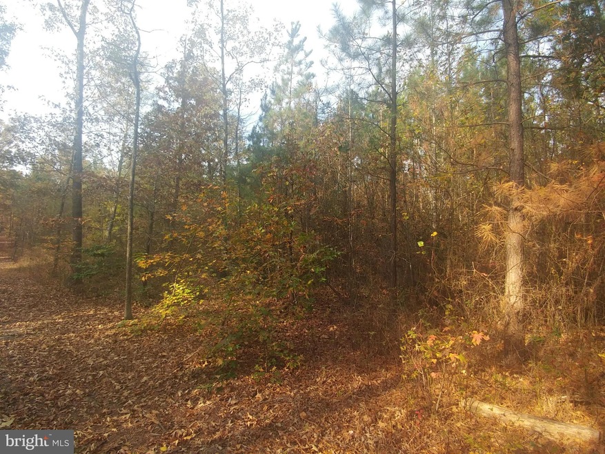 0 Carsons Corner unit 1000091757, Louisa, VA 23093 - photo 1