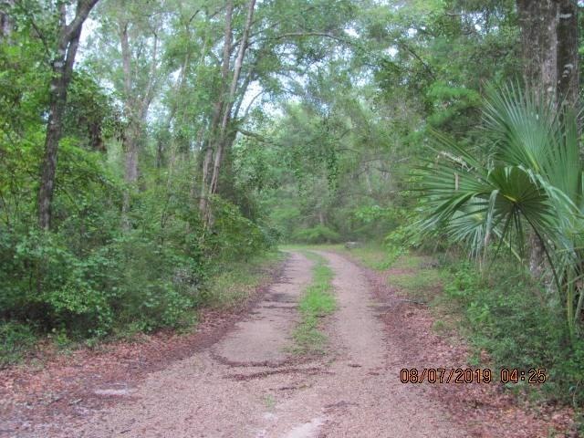 501 Edgar Poole Rd, Crawfordville, FL 32327 - photo 1