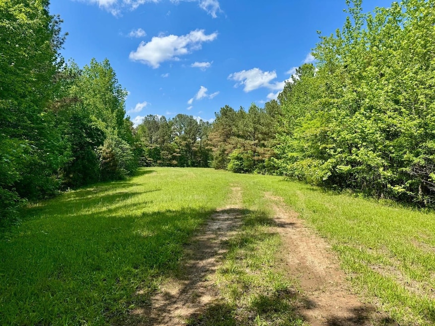 Silerton Rd, Toone, TN 38381 - photo 1