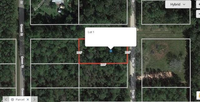 100 X 200 wooded lot