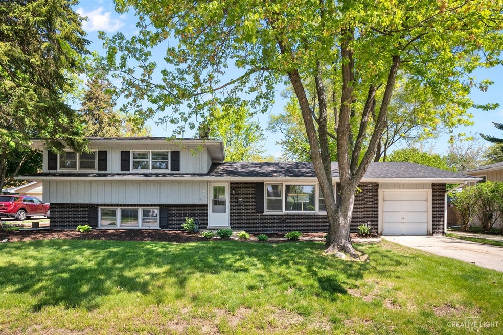 325 Tupelo Ave, Naperville, IL 60540 - photo 1