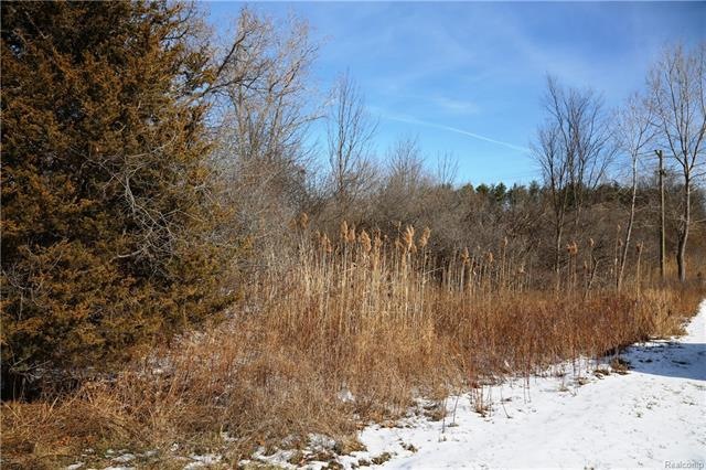Lot 45 S Hospital Rd, Waterford Township, MI 48327 - photo 1