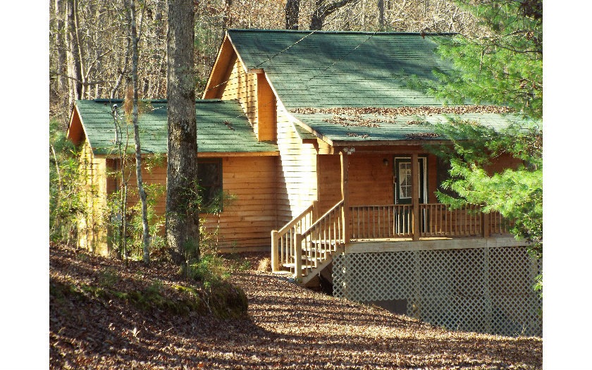 Main View