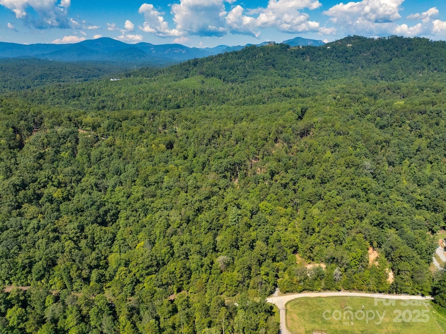 0 Calhoun Trail unit CAR4298763, Rutherfordton, NC 28139 - photo 1