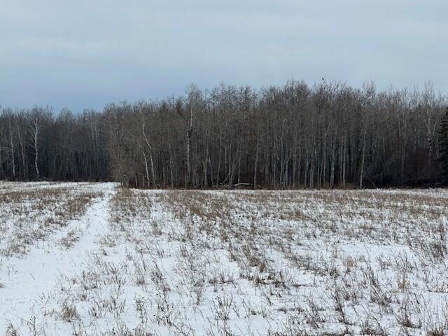 field to woods