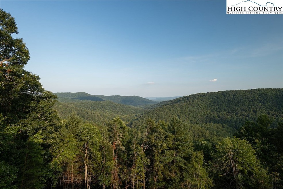 45 Elk Ridge Rd, Ferguson, NC 28624 - photo 1