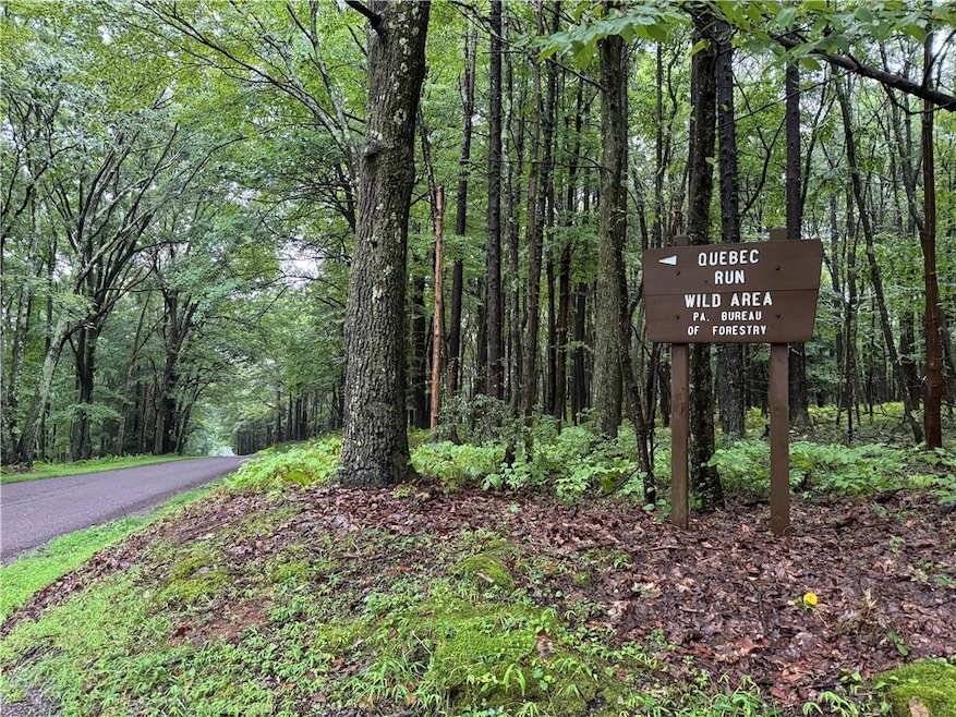 enter Wirsing School Road here