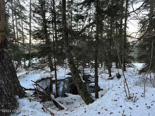 Pond in winter!