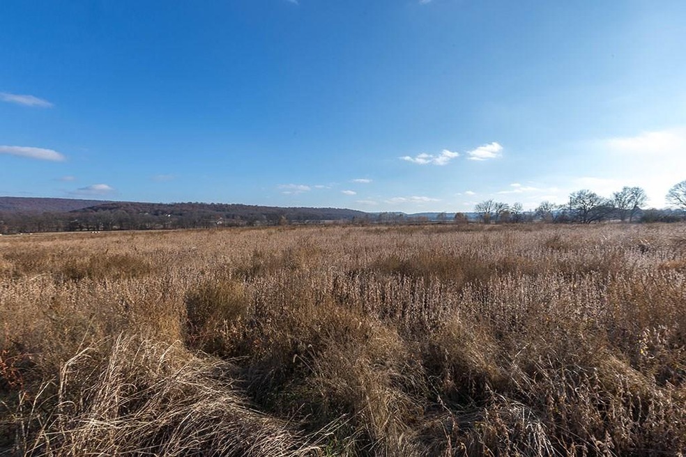 20 AC (mol) Parks St, Prairie Grove, AR 72753 - photo 1