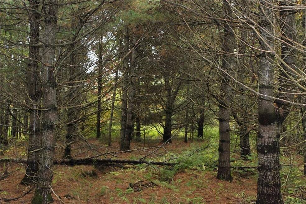 906 Hudson Hill Rd, Hudson, ME 04449 - photo 1