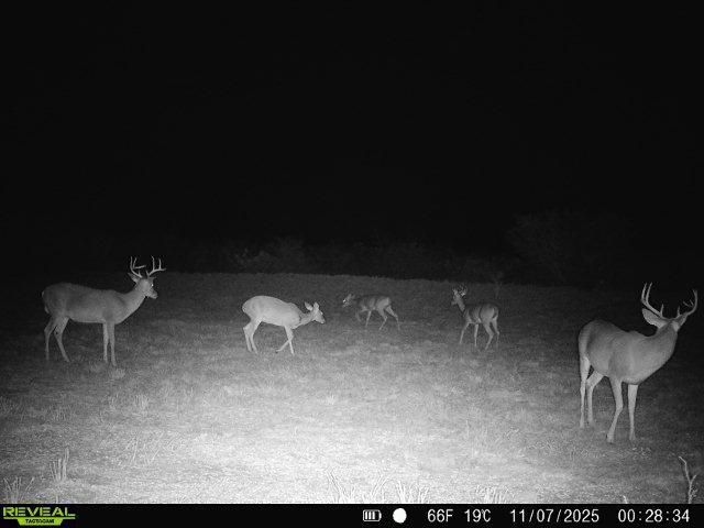 0 County Road 203 unit 25565276, San Jose, TX 78332 - photo 1