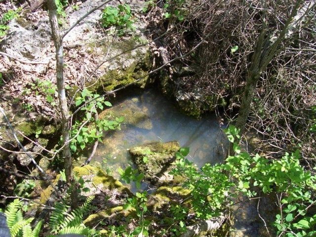 100 acres spring