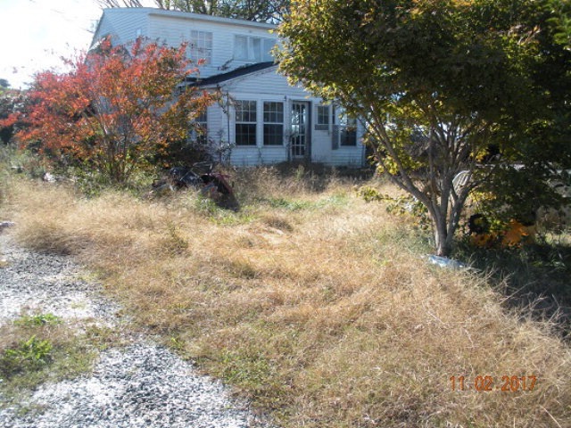 Main View