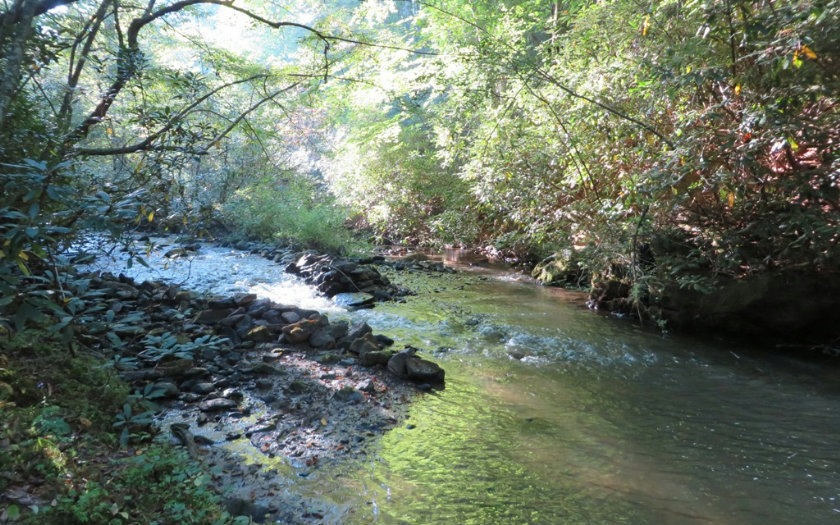 Main View