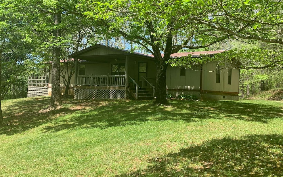 Main View