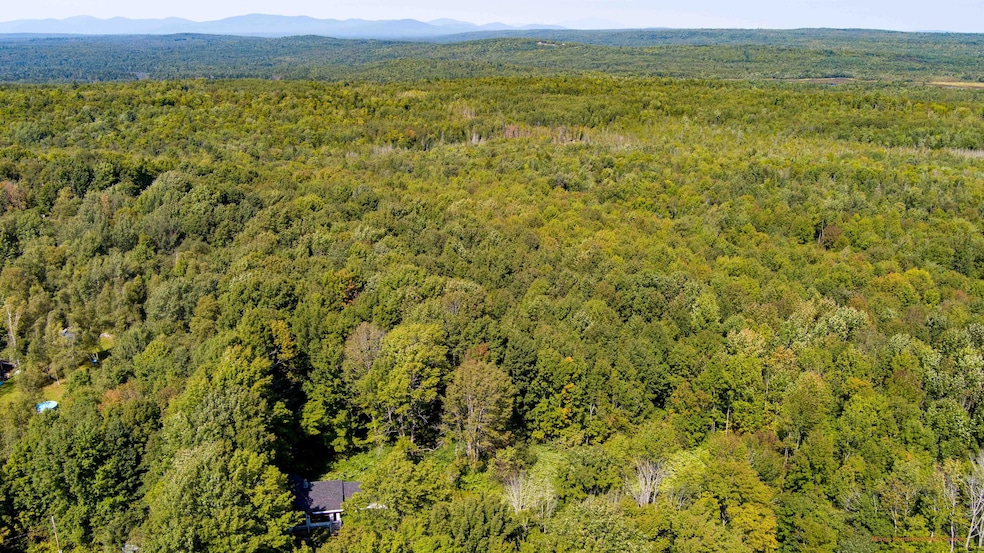 House in the woods