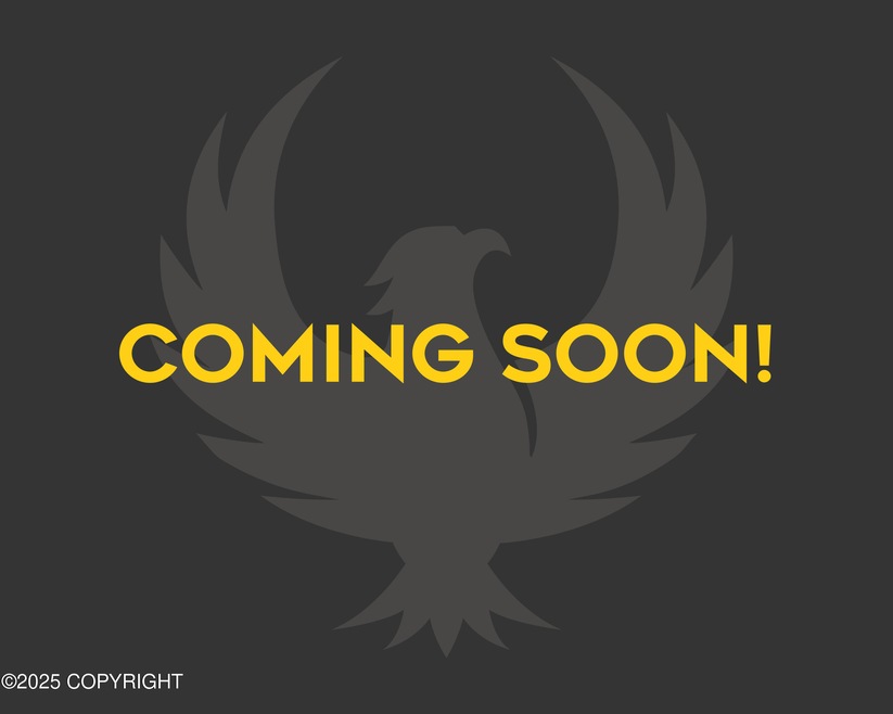 Coming Soon Firebird