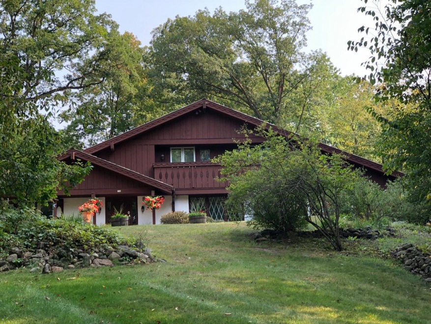 Beautiful Summertime Photo