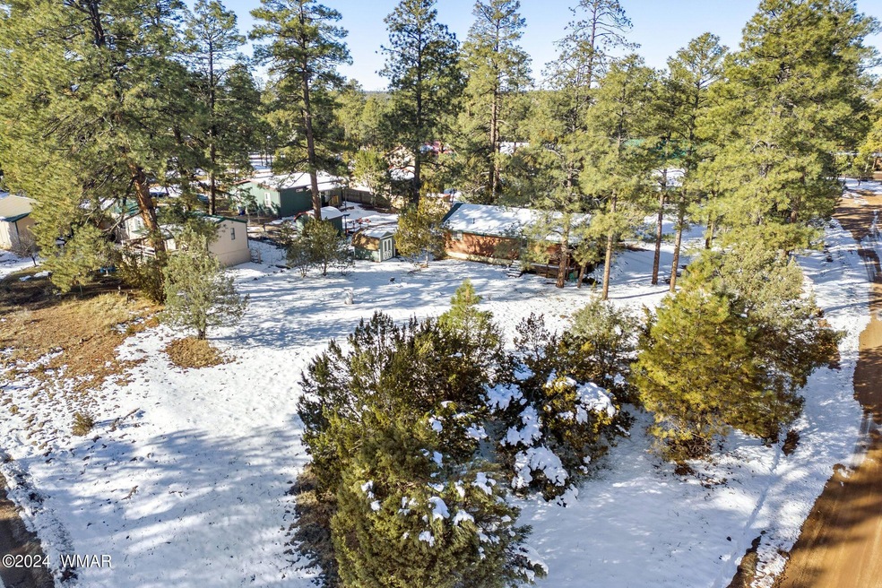 Christmas Pine Corner Lot