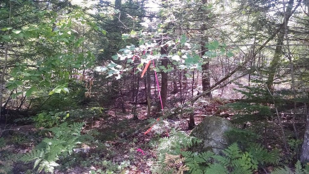 Lot 2 Boundary Rd, Standish, ME 04085 - photo 1