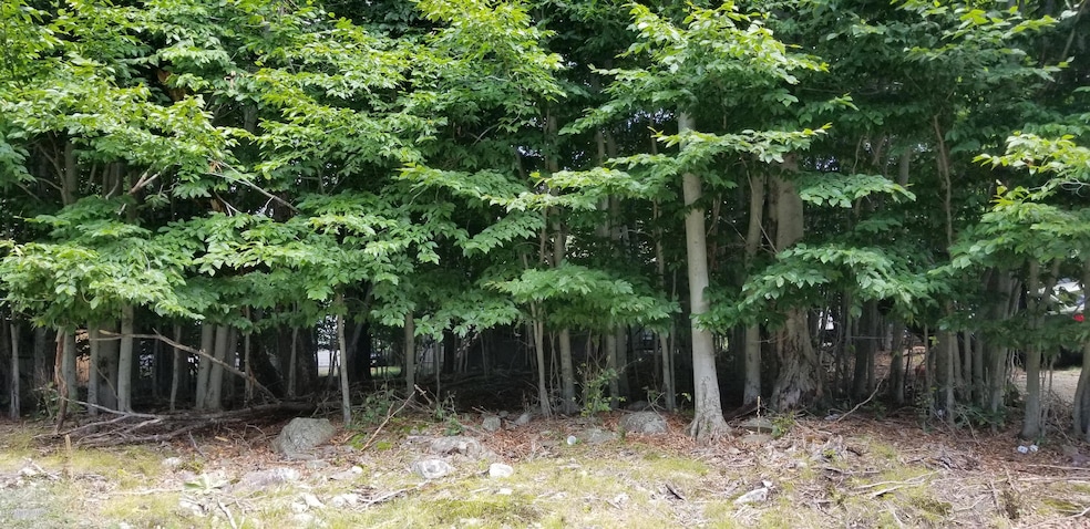 482 Bumble Bee Way, Tobyhanna, PA 18466 - photo 1