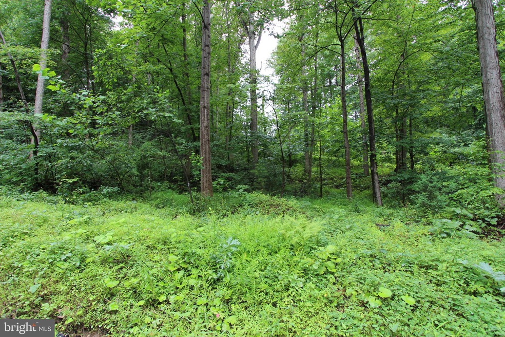 lot 8 Eagles Crag Rd, Shenandoah, VA 22630 - photo 1