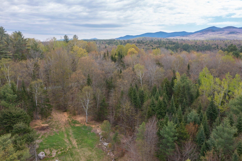 Map 8 Lot 22 Indian Pipe Rd, Franconia, NH 03580 - photo 1
