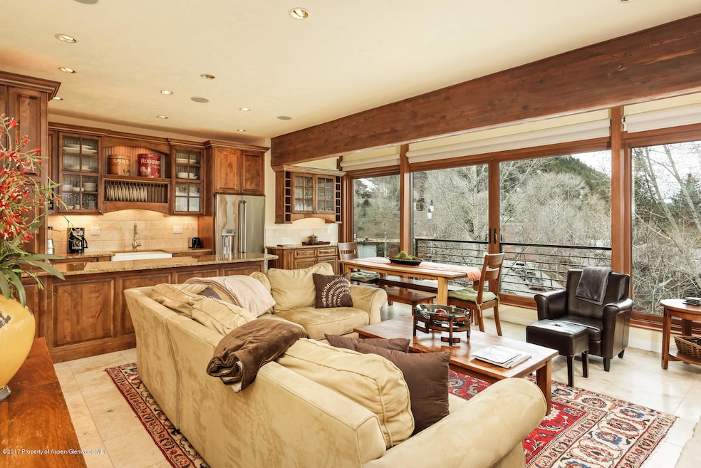 748 S Galena St 5D Aspen CO-large-001-16