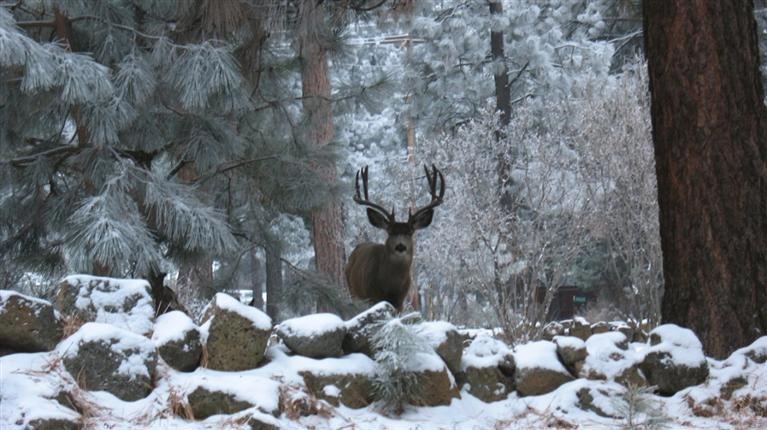 19635 River Woods Cir, Bend, OR 97702 - photo 1