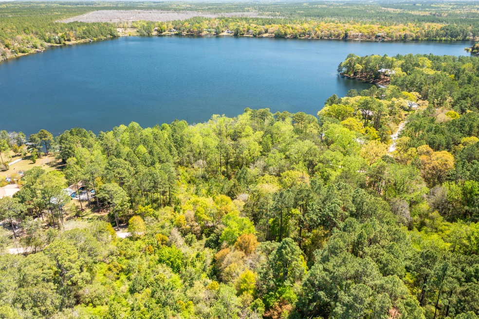 Spring Lake Rd Lot (Aerials)-2