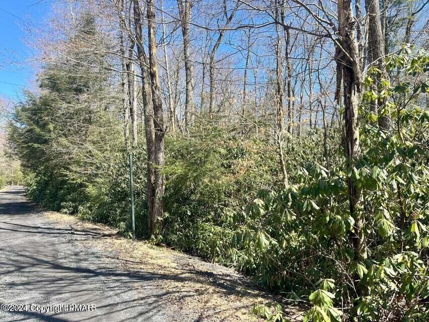 C475 Treetop Ln, Albrightsville, PA 18210 - photo 1