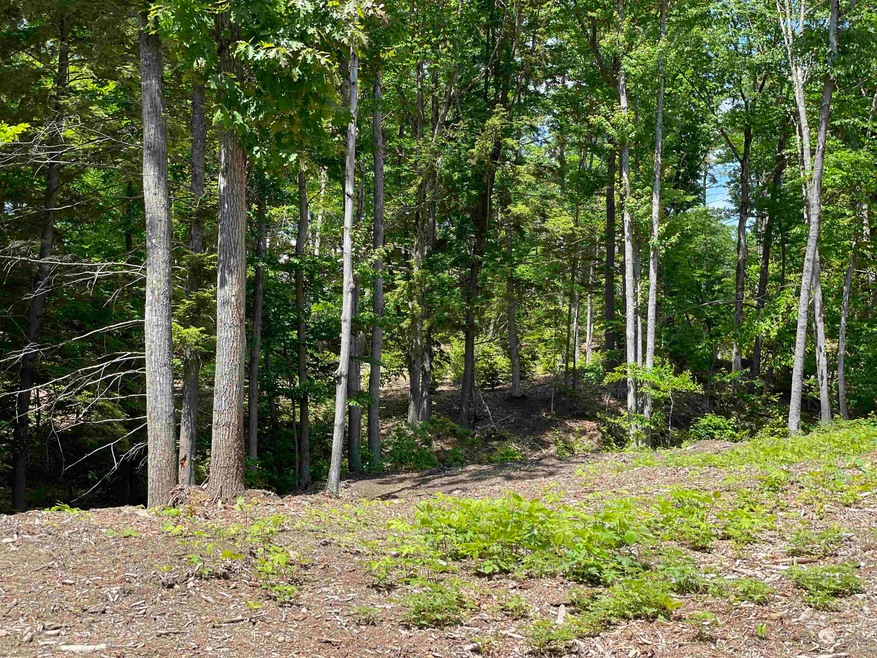 0 Jack Russell Rd unit 45-3 4913706, Ossipee, NH 03882 - photo 1