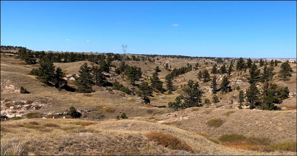 00 Cr 35, Harrisburg, NE 69345 - photo 1